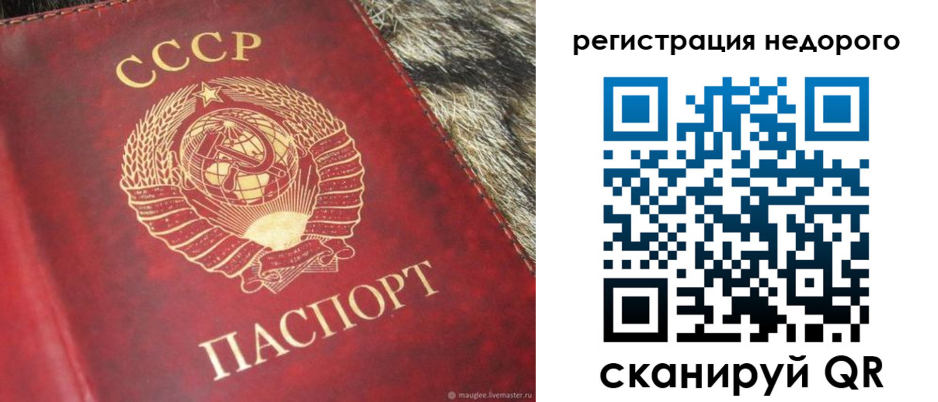 временная регистрация купить в Новотроицке